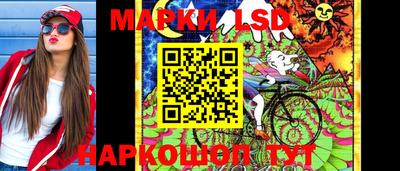 шишки Майкоп