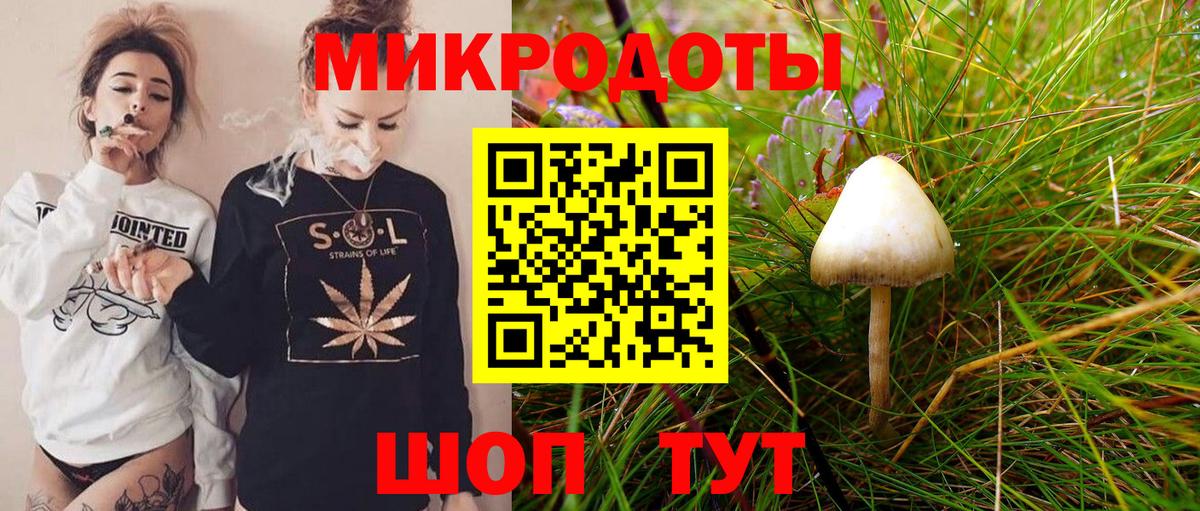 хочу наркоту  Галлюциногенные грибы MAGIC MUSHROOMS  Вход с VPN  Киселёвск  Псилоцибиновые грибы мицелий 